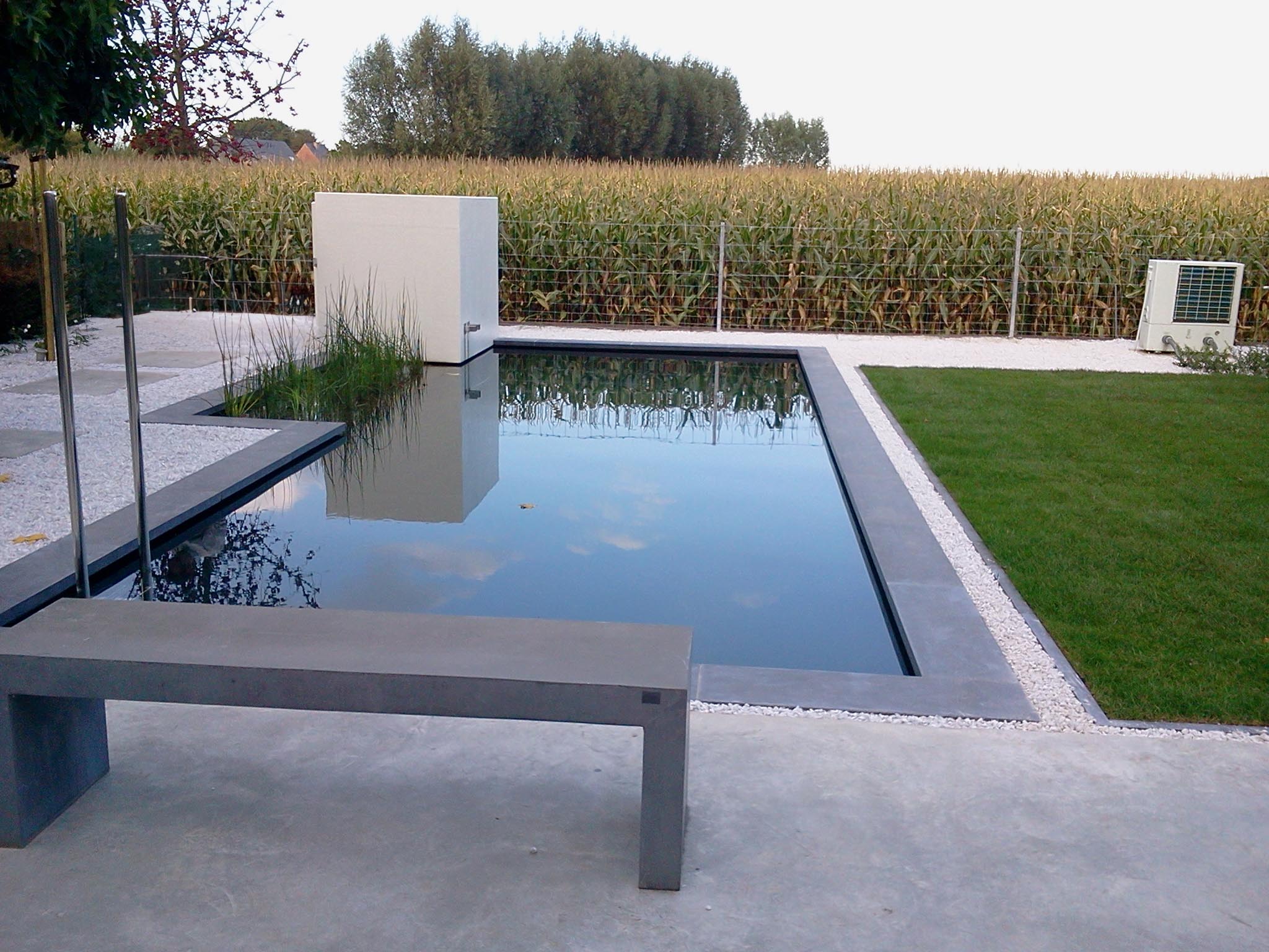 Pierre Swimming Poule sur un chantier